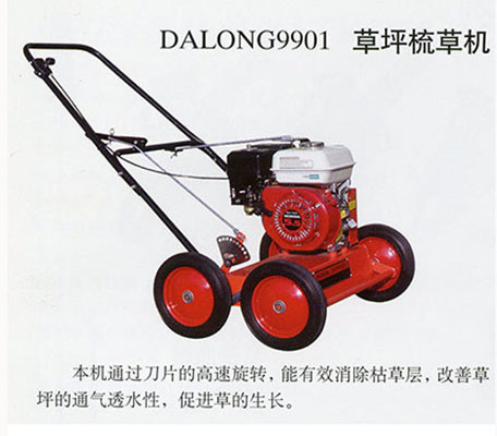 DALONG9901草坪梳草机