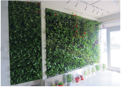 室内室外墙体绿化